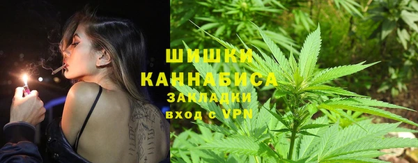 ALPHA PVP Заводоуковск
