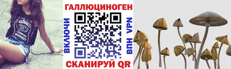 Купить закладки  Лесной  Галлюциногенные грибы Magic Shrooms 
